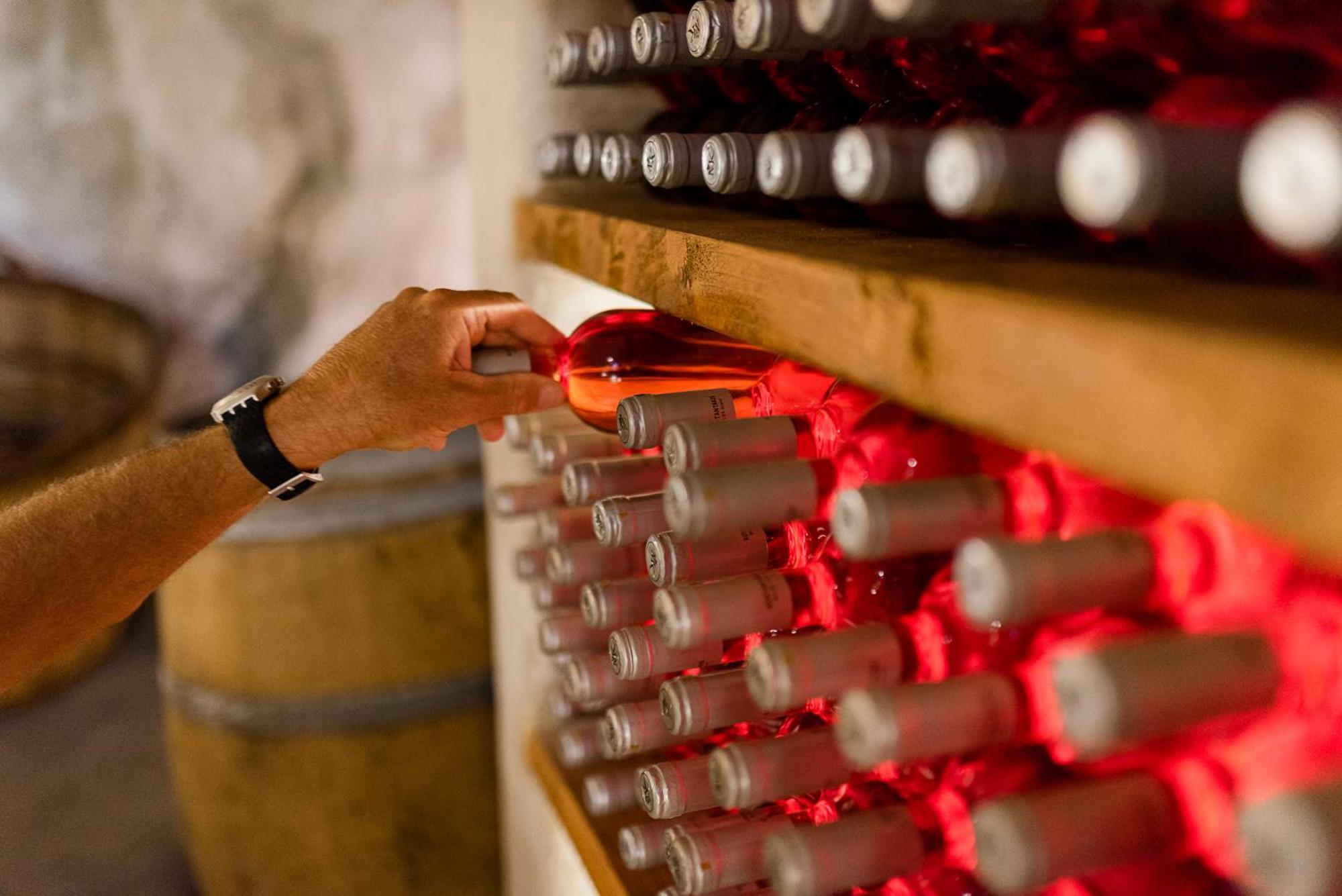 阿波罗尼亚 Kostantakis Winery Estate旅馆 外观 照片